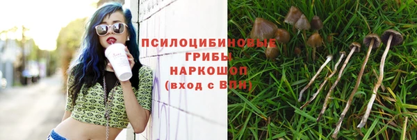 spice Ростов